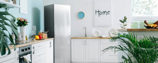 冰箱放三样东西最旺财