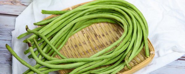 冬天保存豆角方法