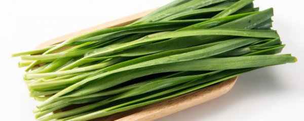 韭菜羊肉能一起吃吗