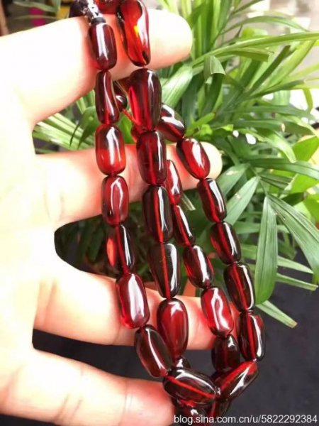 几十块钱的血珀是真的吗