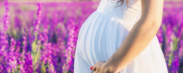 五叶神草哪些人不宜吃