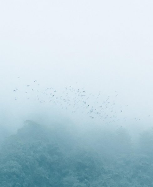 青城山海拔多少米高