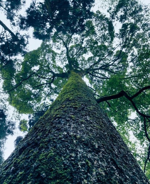 青城山海拔多少米高