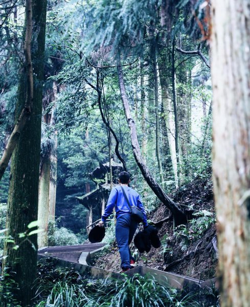 青城山海拔多少米高