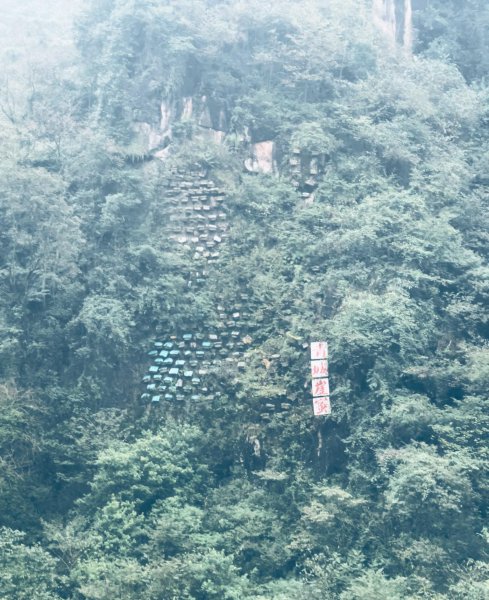 青城山海拔多少米高