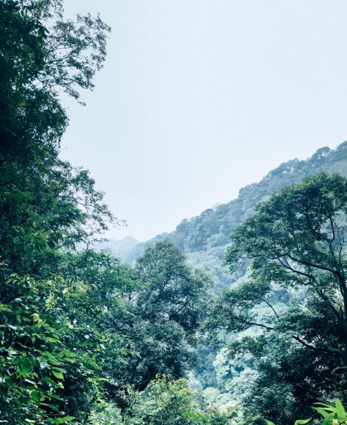 青城山海拔多少米高