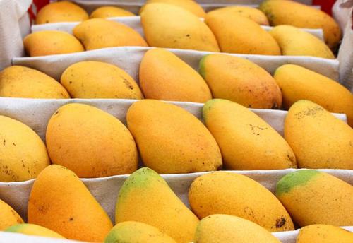 芒果有黑点了还能吃吗