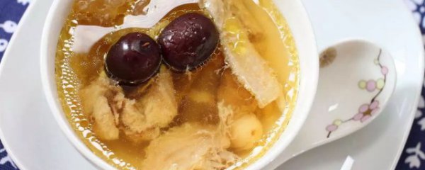 桂圆干和什么煲汤比较好