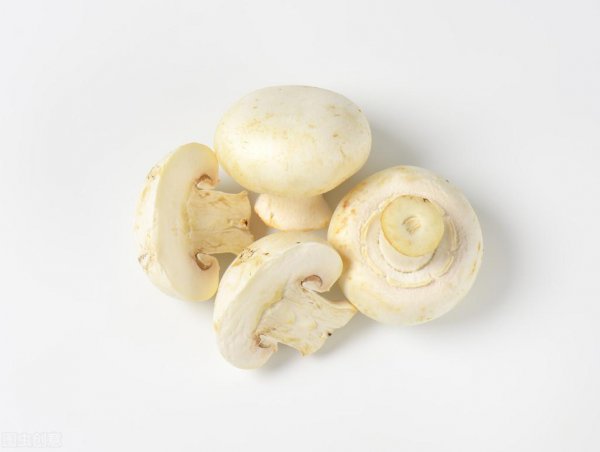 市场上菇类有哪些品种盘点