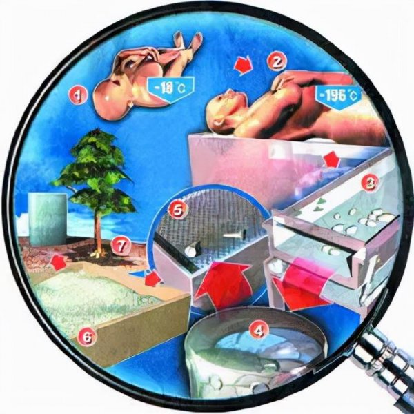 冰葬是如何处理的