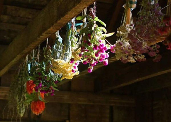 鲜花如何做成干花不变色保持香味