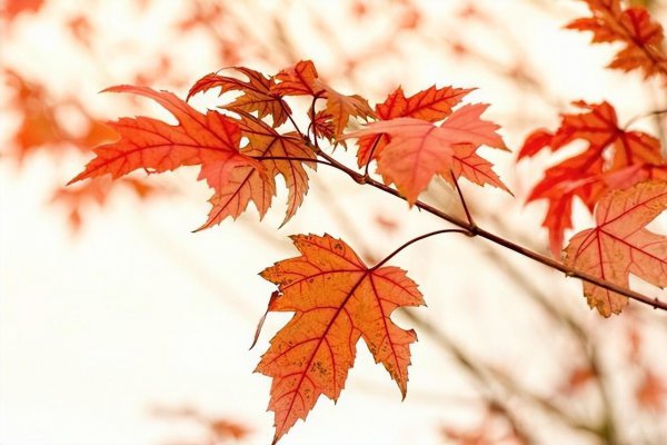 男人在女生面前紧张说明什么问题