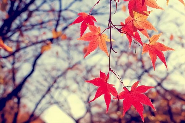 男人在女生面前紧张说明什么问题