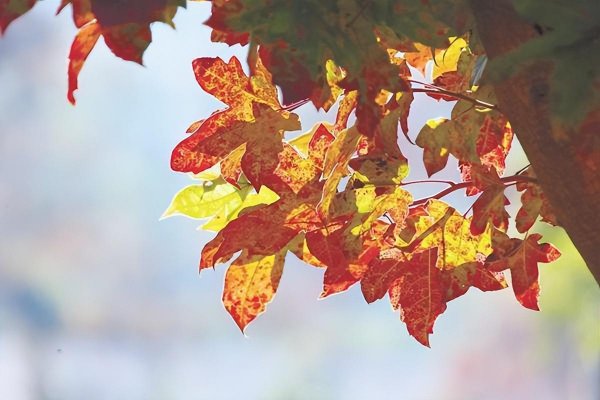 男人在女生面前紧张说明什么问题