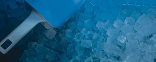 泡大珠的正确养法