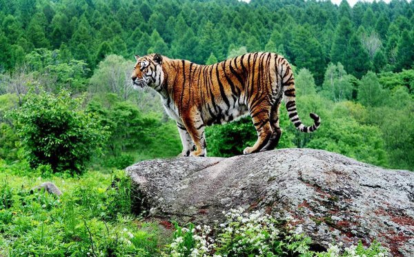 牡丹江全市面积多少万平方公里