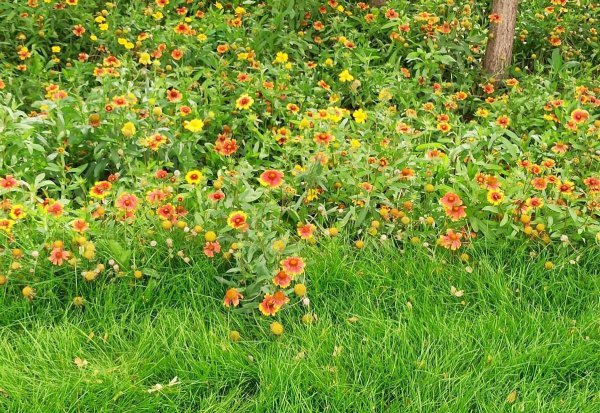 红米note8pro处理器参数配置