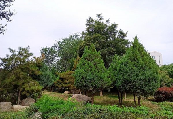 红米note8pro处理器参数配置