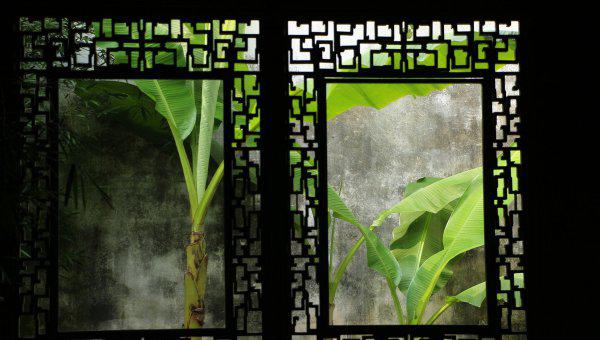 芭蕉叶的寓意及象征