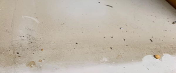 家里毛绒灰尘太多妙招