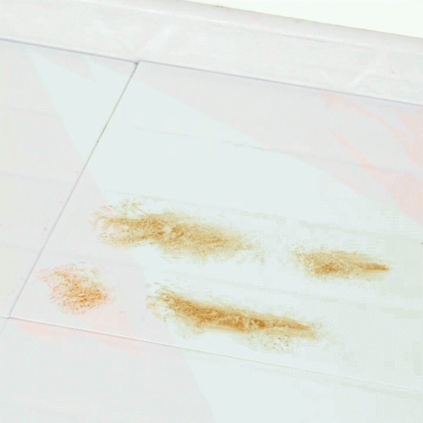 家里毛绒灰尘太多妙招