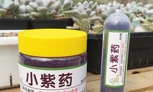 多肉生虫子了小白虫怎么办