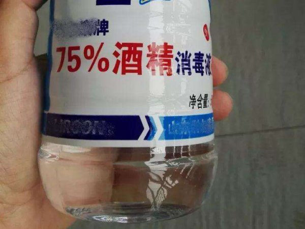 多肉生虫子了小白虫怎么办