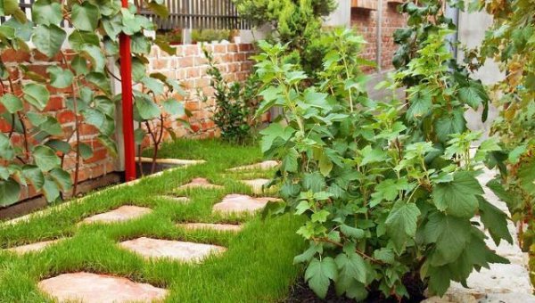 33层的房子哪个楼层最贵