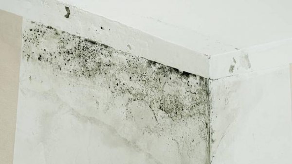 33层的房子哪个楼层最贵