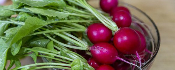 红皮萝卜能生吃吗