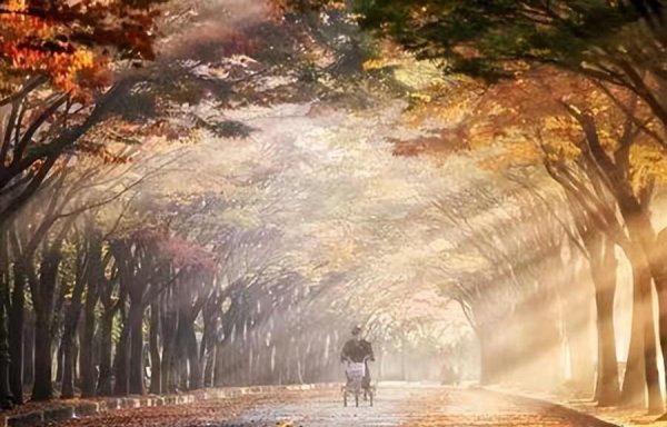 心理学抱持是什么意思