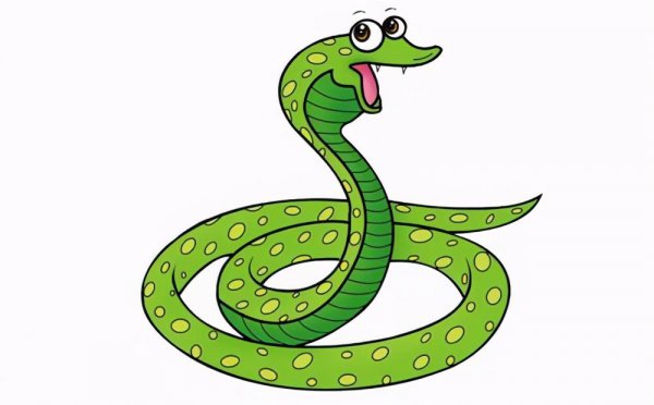 蛇的寿命一般多少年