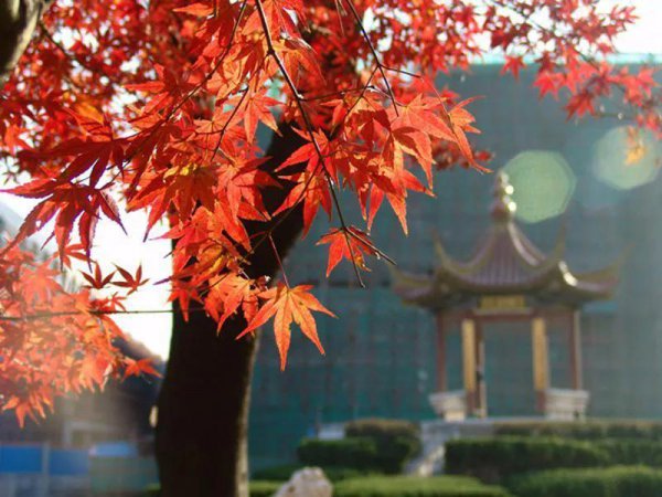 南京航空航天大学是几本院校