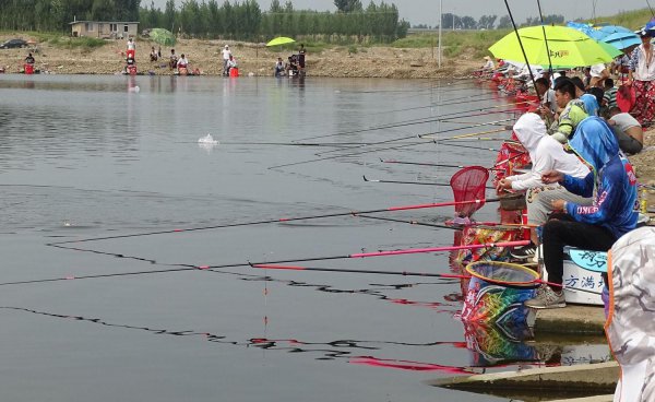 垂钓园怎么经营才赚钱多