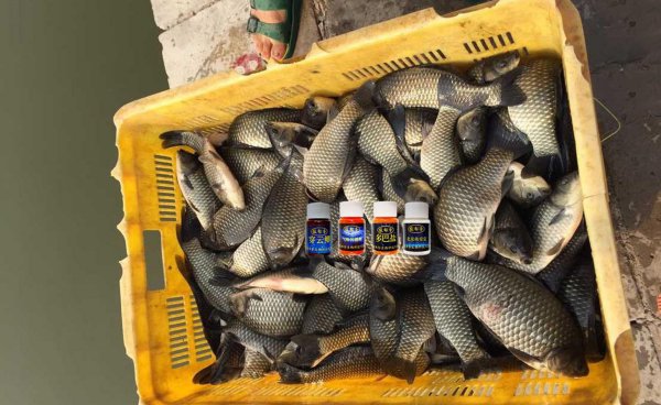 垂钓园怎么经营才赚钱多