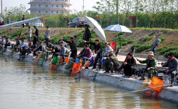 垂钓园怎么经营才赚钱多