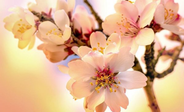 追水瓶女的绝招分享