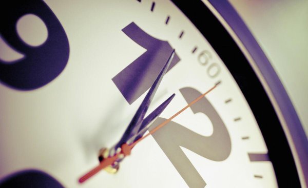 四维生物是什么意思