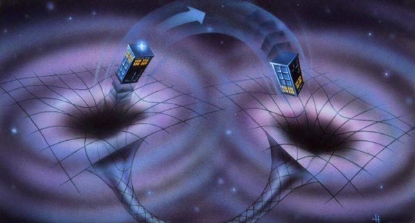 四维生物是什么意思