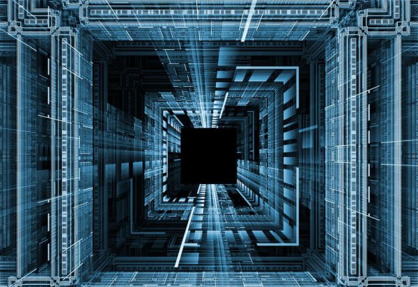 四维生物是什么意思