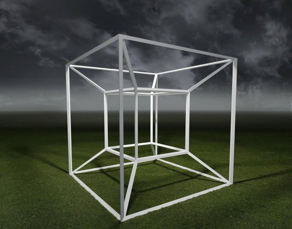 四维生物是什么意思