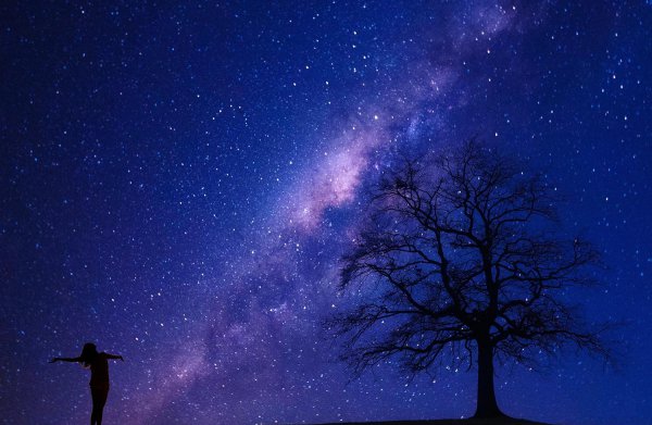 520是哪个国家的节日