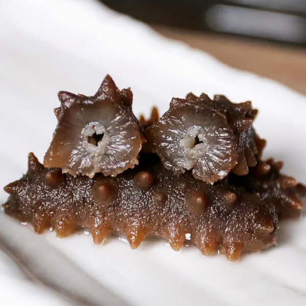 如何鉴别海参的好坏