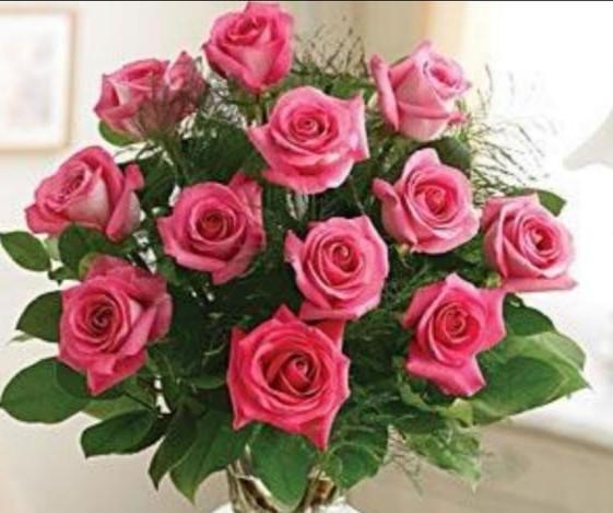 月季和玫瑰的区别在哪里