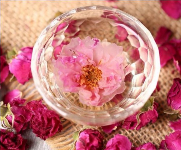 月季和玫瑰的区别在哪里