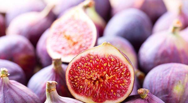 无花果啥时候成熟上市