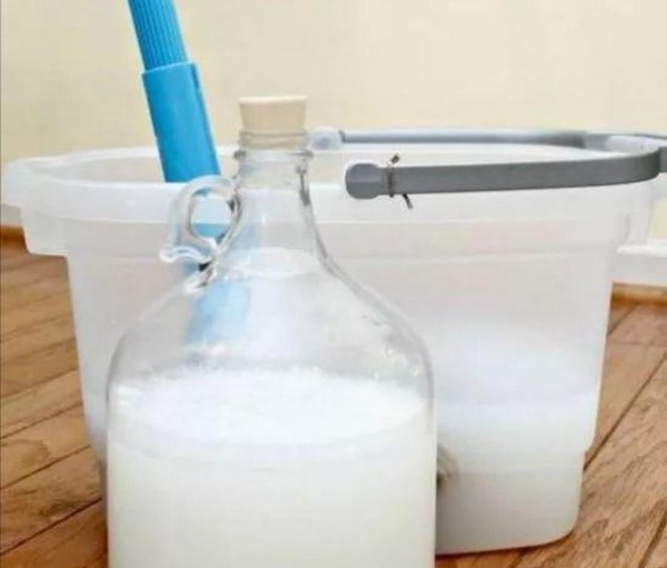 花盆土里生虫子用什么方法解决