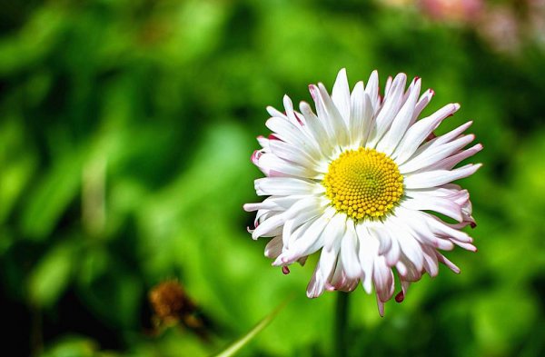 双子座女生喜欢一个人的表现准到爆