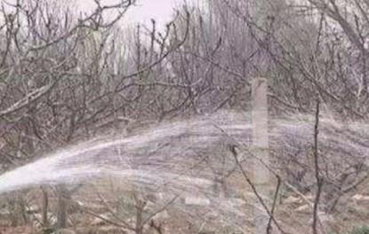 果园如何进行春季清园