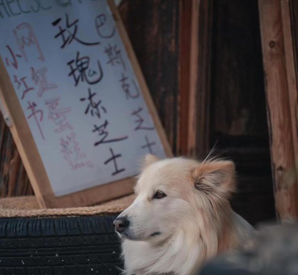 云南丽江有什么好玩的地方